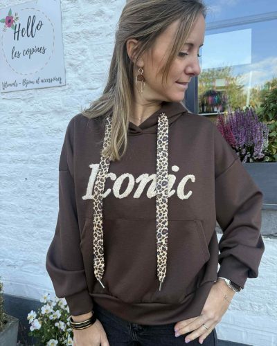 Sweat Iconic capuche chocolat