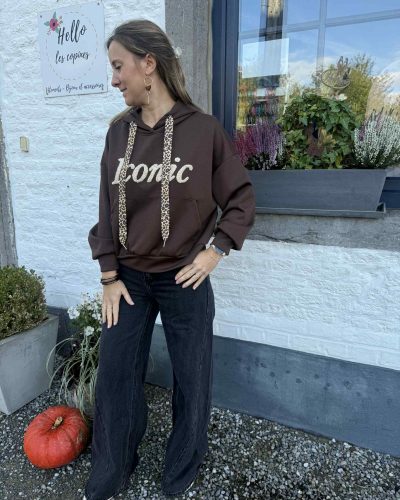 Sweat Iconic capuche chocolat